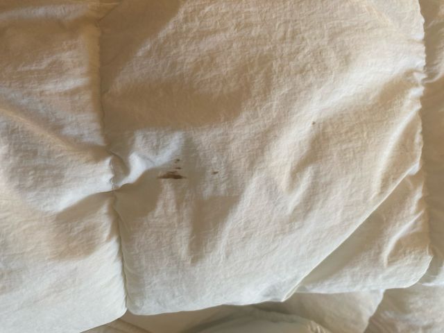 Chaqueta Invierno Blanca XL Bershka