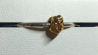 Charm cabeza Simba Rey León