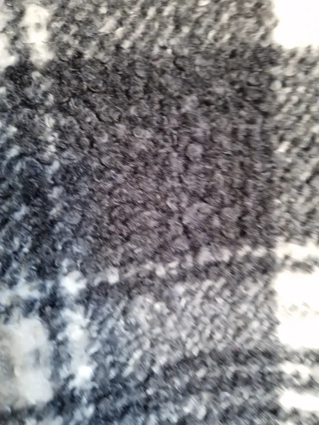 Abrigo Tienda Local Talla XXL