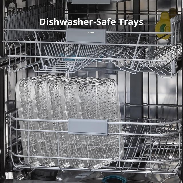 Deshidratador Alimentos 5 Bandejas Acero