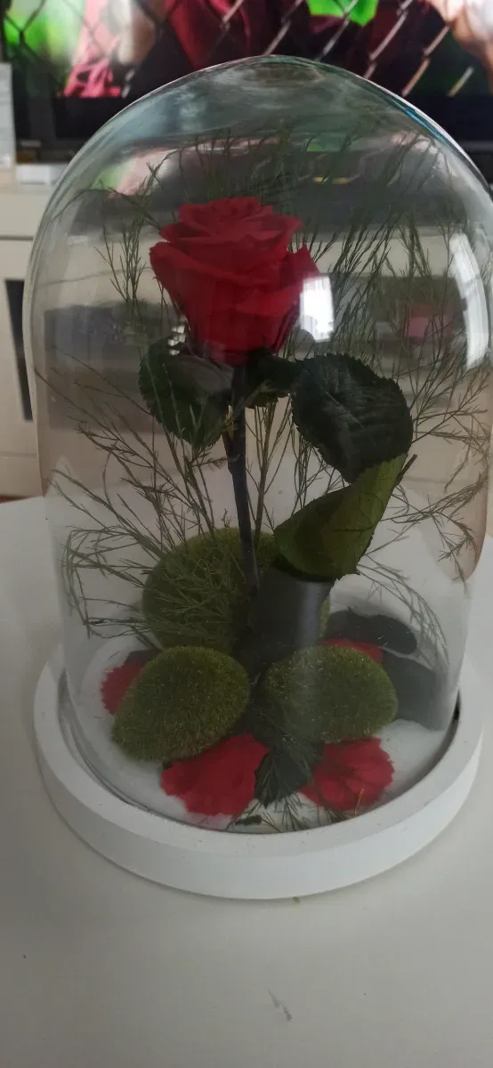 Flor Bella y Bestia Urna Cristal