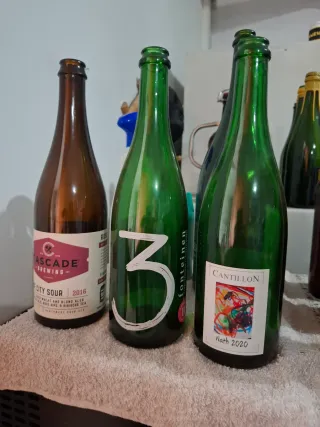 Bottiglie di Birra Collezione edizioni limitate