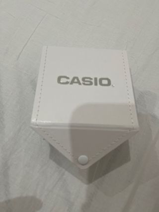 Reloj Casio Plata y Negro