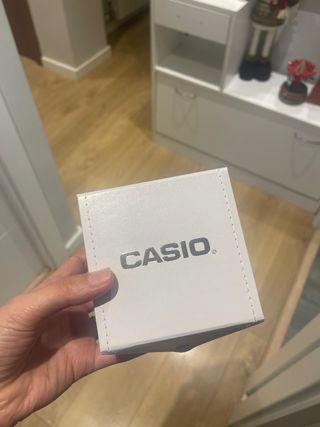 Reloj Casio Plata y Negro