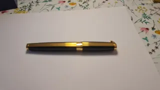 Penna Waterman Paris Nera e Oro
