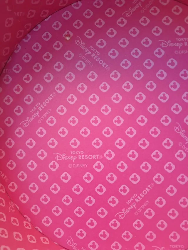 Caja Dura Disney 20cm Tokio