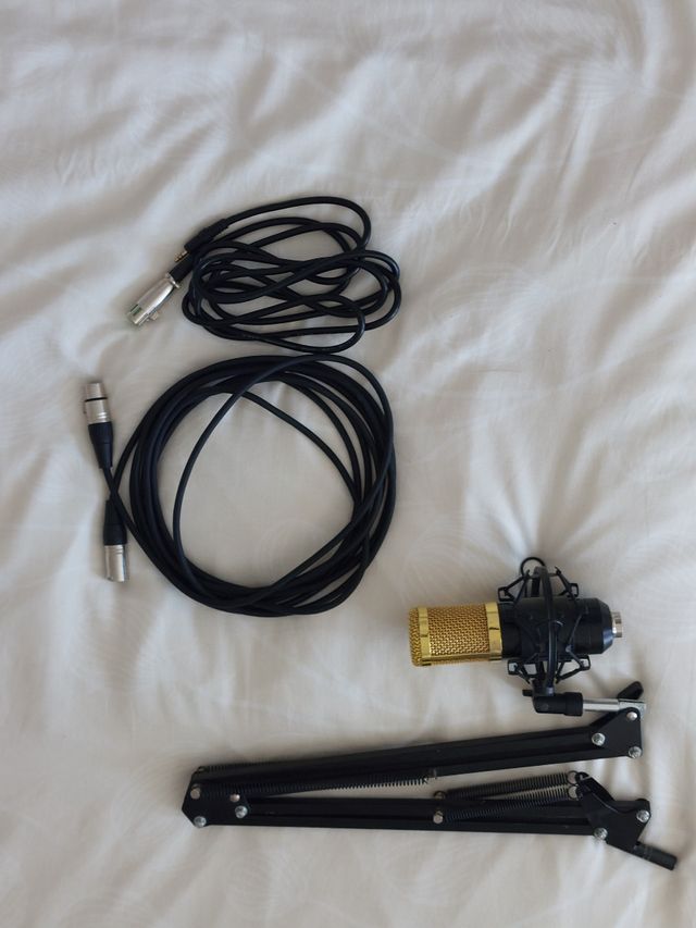 Micrófono y Soporte Negro/Dorado