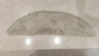 Estola de pelo beige y dorado