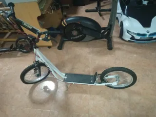 Patinete gigante scooter
