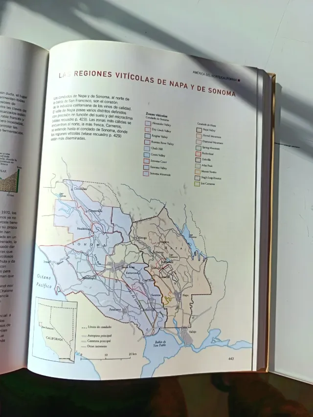 Los Vinos/Wines (Spanish Edition)