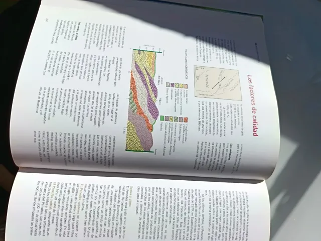 Los Vinos/Wines (Spanish Edition)