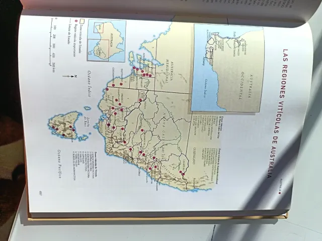 Los Vinos/Wines (Spanish Edition)