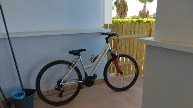 Bicicleta de montaña plateada