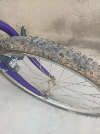 Bicicleta Oregon P310 Morada