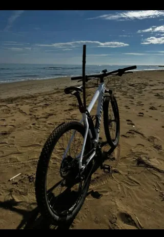 Bicicleta de Montaña Specialized Blanca