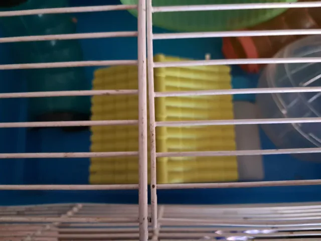 Gabbia per criceto con palla rotante