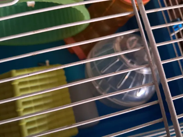 Gabbia per criceto con palla rotante