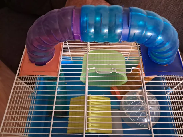 Gabbia per criceto con palla rotante