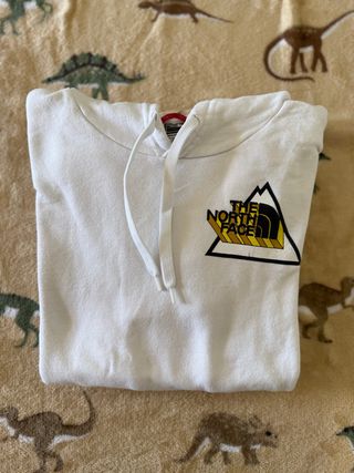 Felpa The North Face con cappuccio