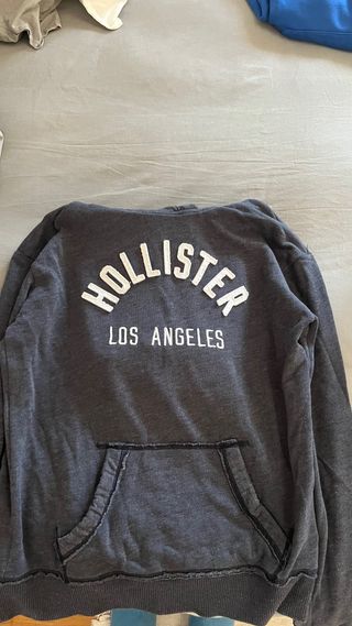 Sudadera Hollister Gris Los Angeles