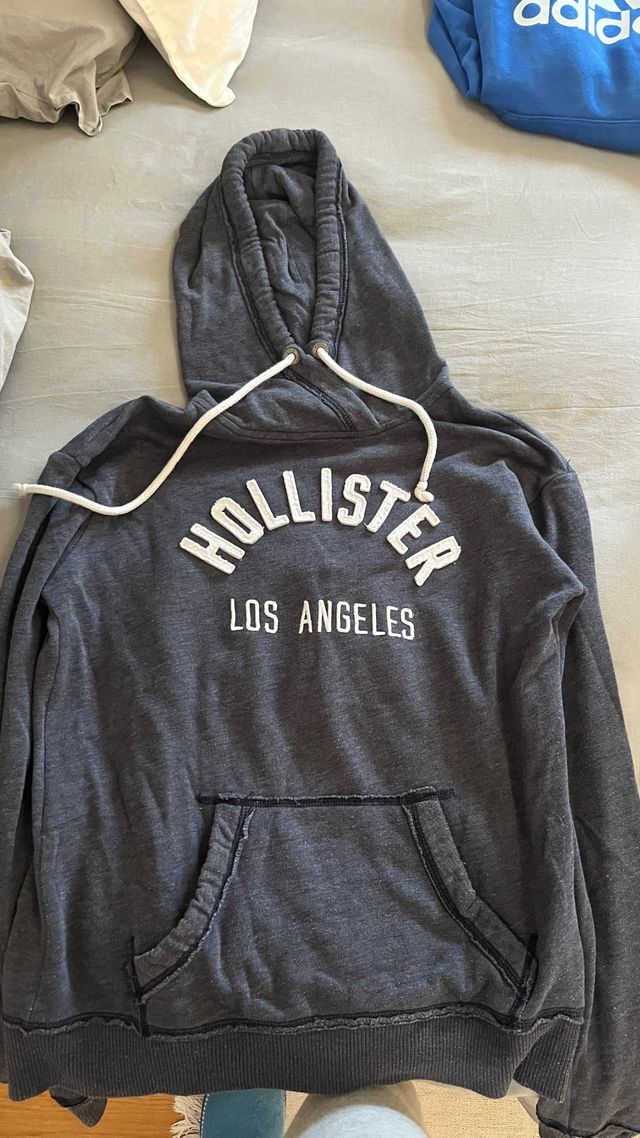 Sudadera Hollister Gris Los Angeles