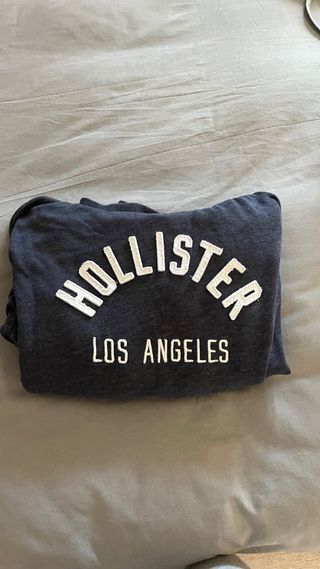 Sudadera Hollister Gris Los Angeles
