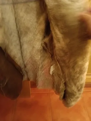 Chaqueta Desigual Marrón Multicolor