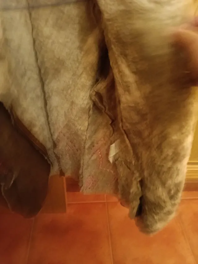 Chaqueta Desigual Marrón Multicolor