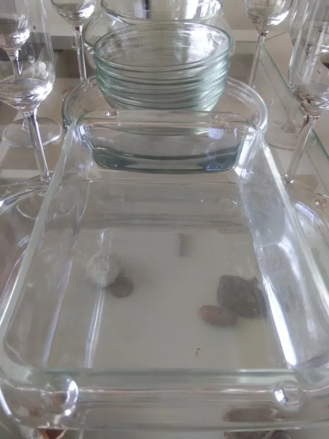 Juego Cristalería y Fuente Vidrio