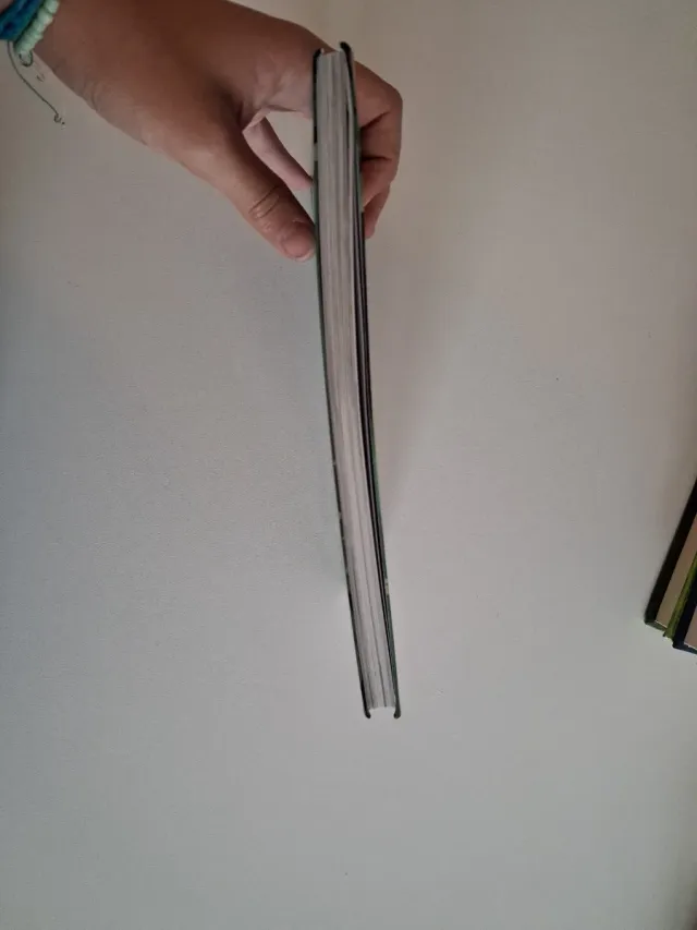 ONIN ETA BASOKO MISTERIOA