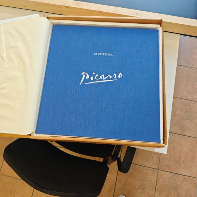 La Celestina illustrata da Pablo Picasso