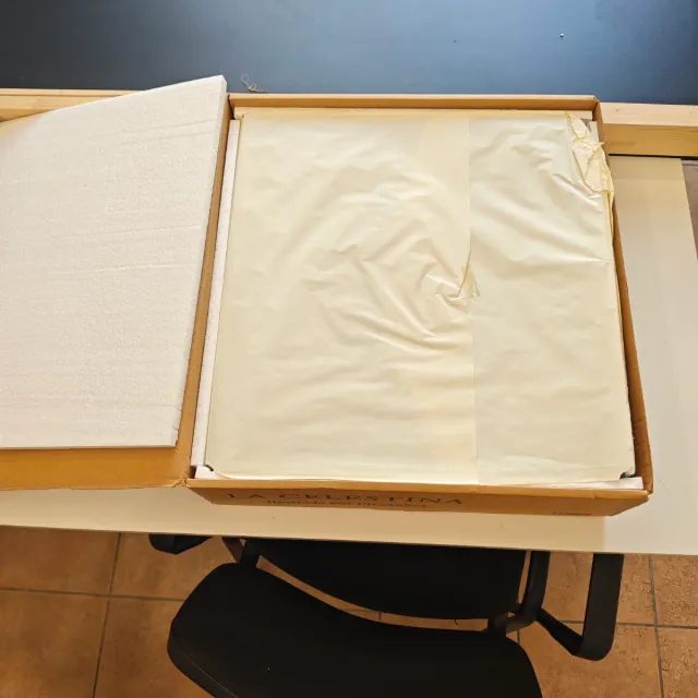 La Celestina illustrata da Pablo Picasso