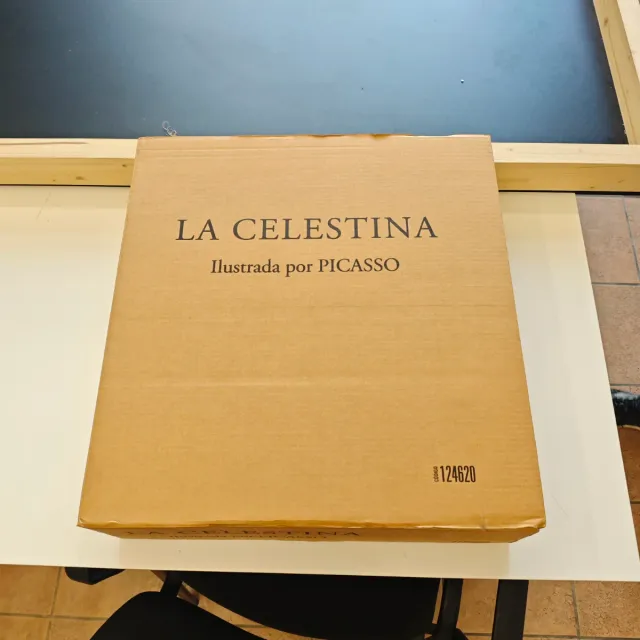 La Celestina illustrata da Pablo Picasso