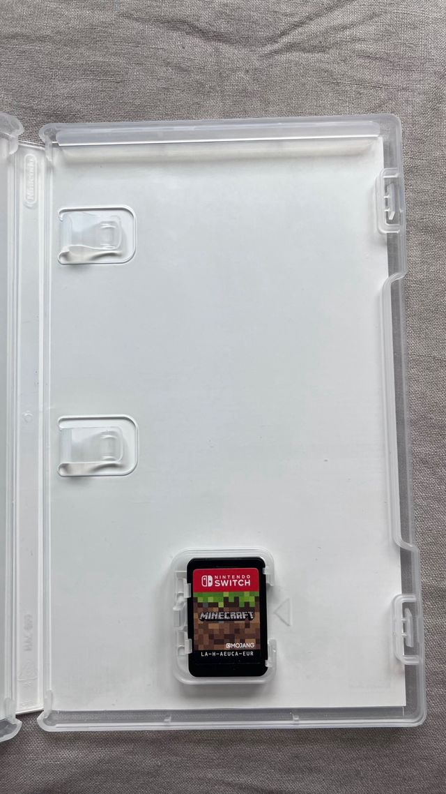 Minecraft Nintendo Switch