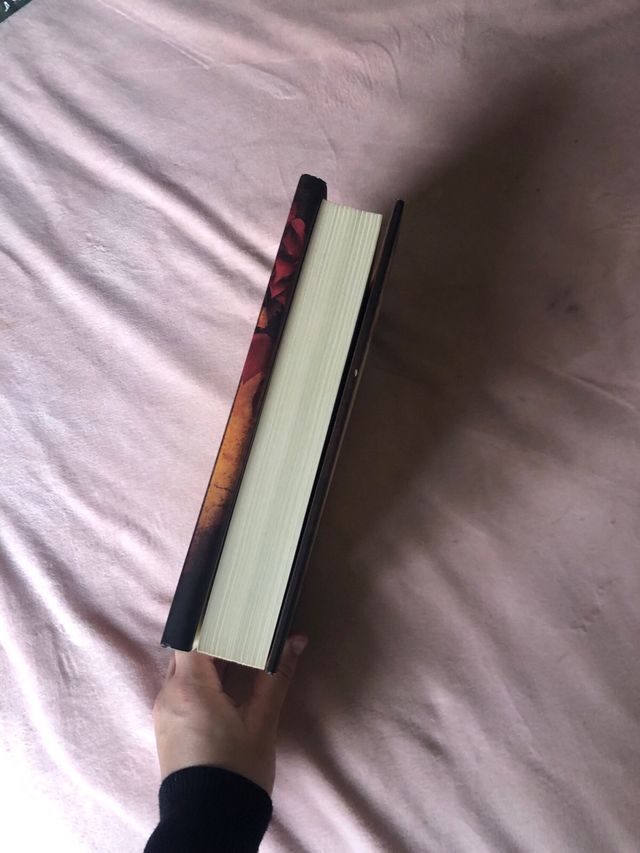 El laberinto de la rosa (Spanish Edition)