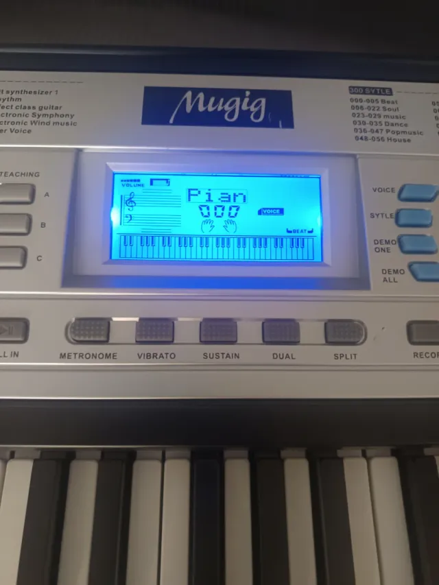 MLS-939 Piano eléctrico - órgano 61 teclas Mugic