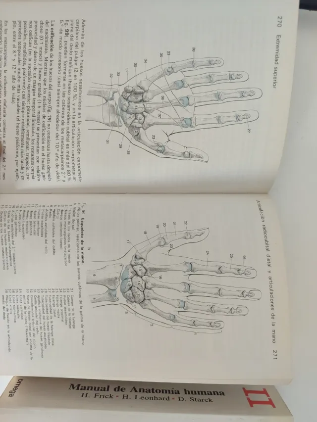 Manual de anatomía humana.