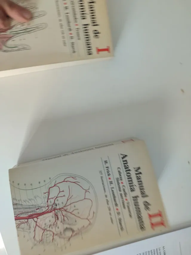 Manual de anatomía humana.