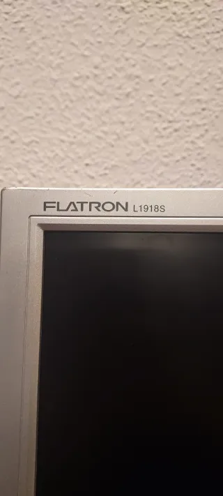 Monitor LG Flatron Gris