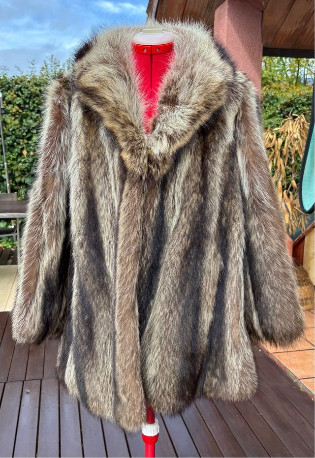 Abrigo de Mapache (Raccoon)Talla M