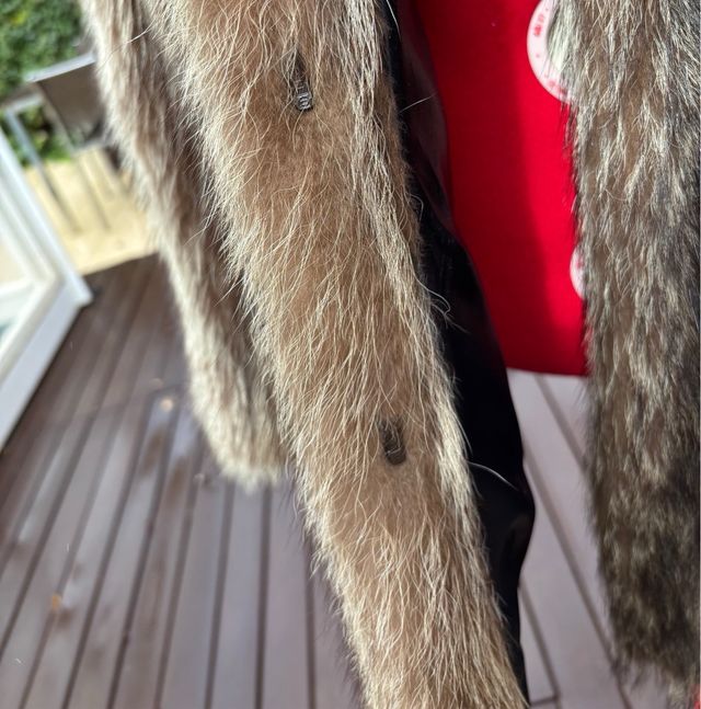 Abrigo de Mapache (Raccoon)Talla M