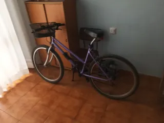 Bicicleta Montaña Morada Adulto