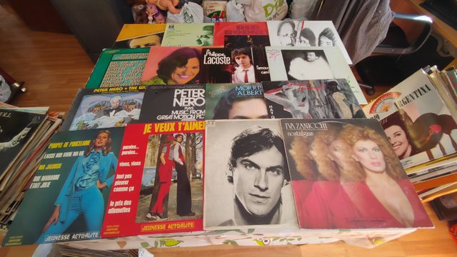 lote de 268 vinilos,recoger en marid o enviar agen