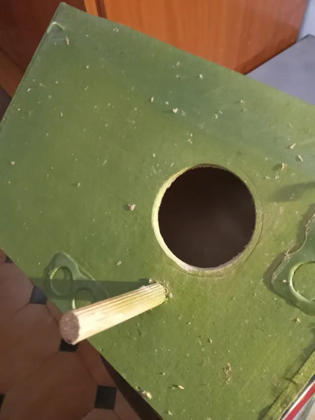 Nido para Agapornis y Ninfa