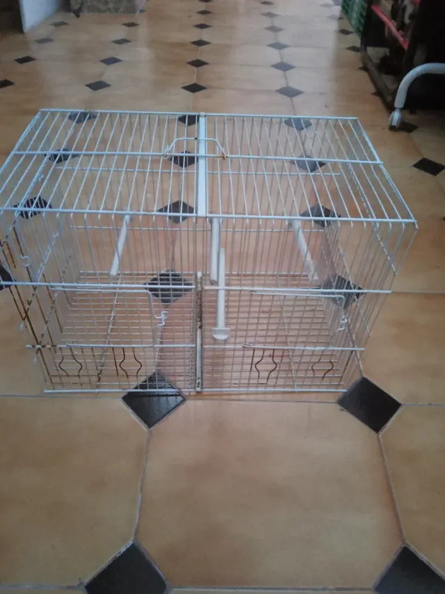 Jaula para pájaros cría