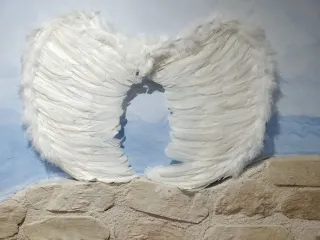 Alas de ángel de pluma natural