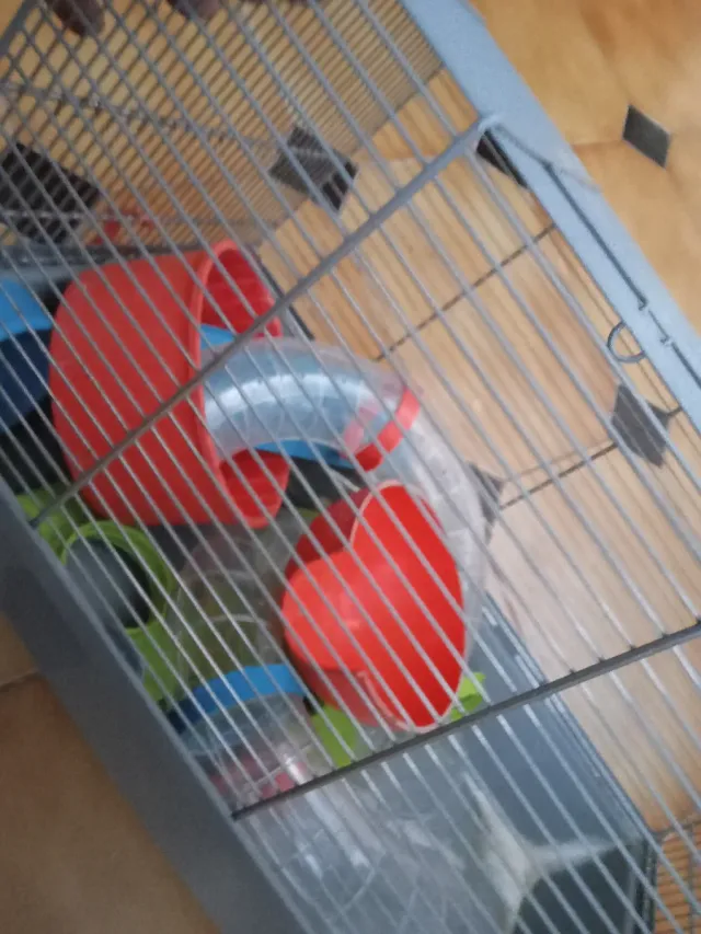 Jaula para hámster con accesorios