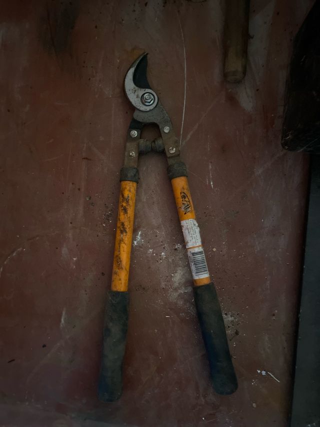 Tijeras de podar profesionales