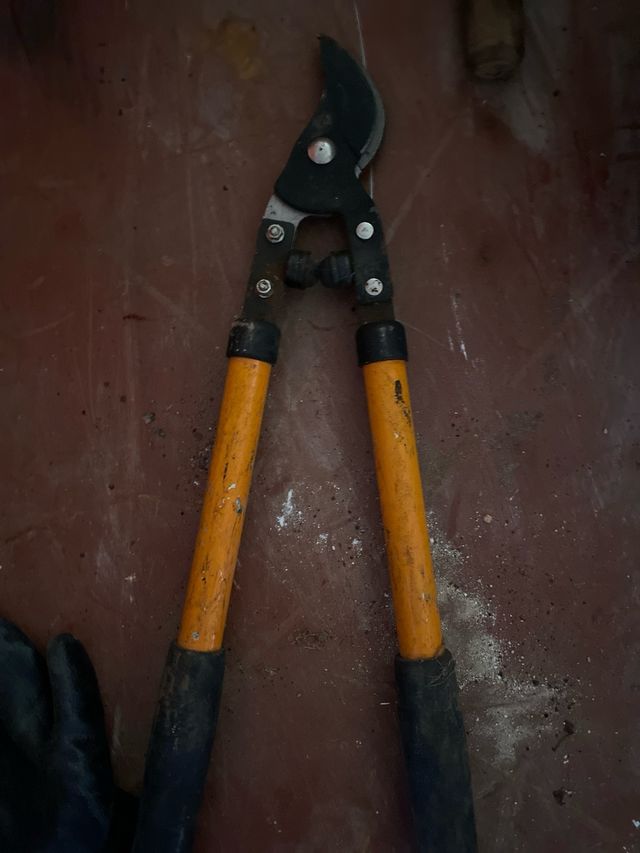 Tijeras de podar profesionales