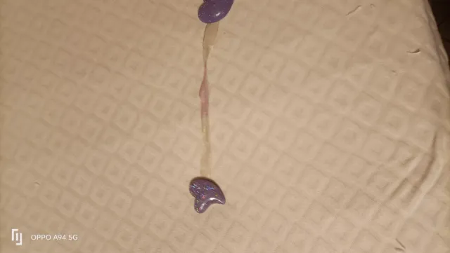 2 Tende Viola con Calamita